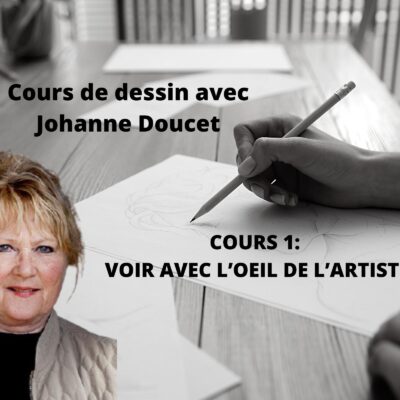 Cours d'arts en ligne Johanne Doucet Cours 1: voir avec l'oeil de l'artiste