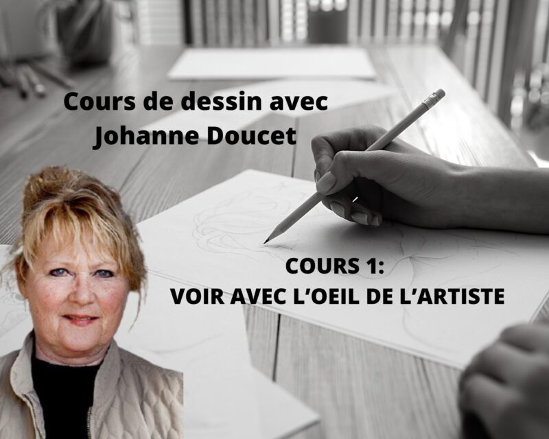 Cours d'arts en ligne Johanne Doucet Cours 1: voir avec l'oeil de l'artiste