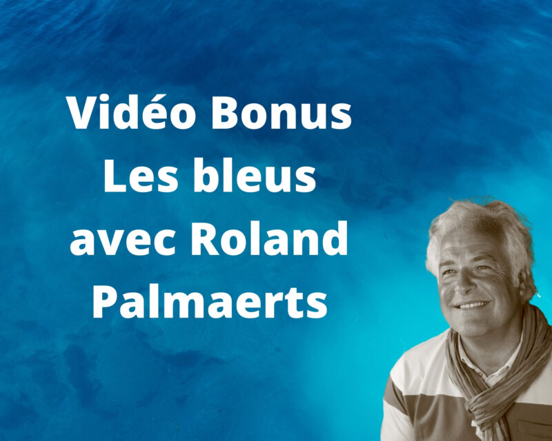 Cours d'arts en ligne Produits gratuits Bonus sur les bleus avec Roland Palmaerts